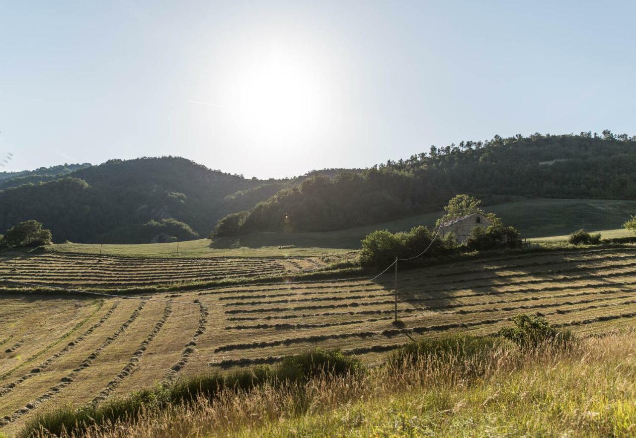 Agriturismo L'Antico Frutto Premilcuore Ngoại thất bức ảnh