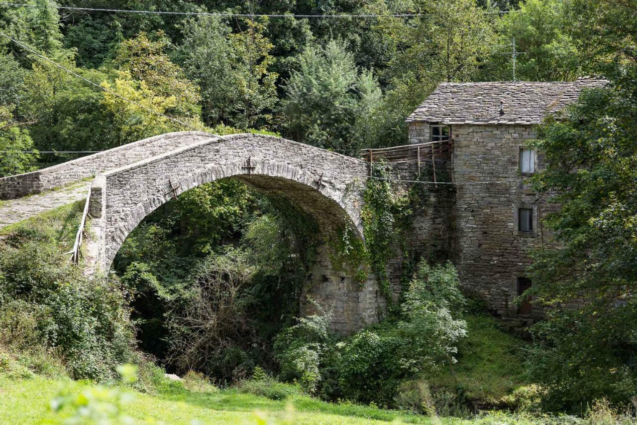 Agriturismo L'Antico Frutto Premilcuore Ngoại thất bức ảnh