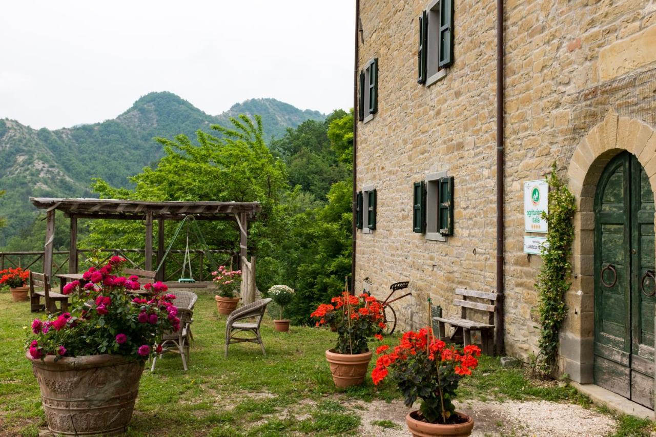 Agriturismo L'Antico Frutto Premilcuore Ngoại thất bức ảnh