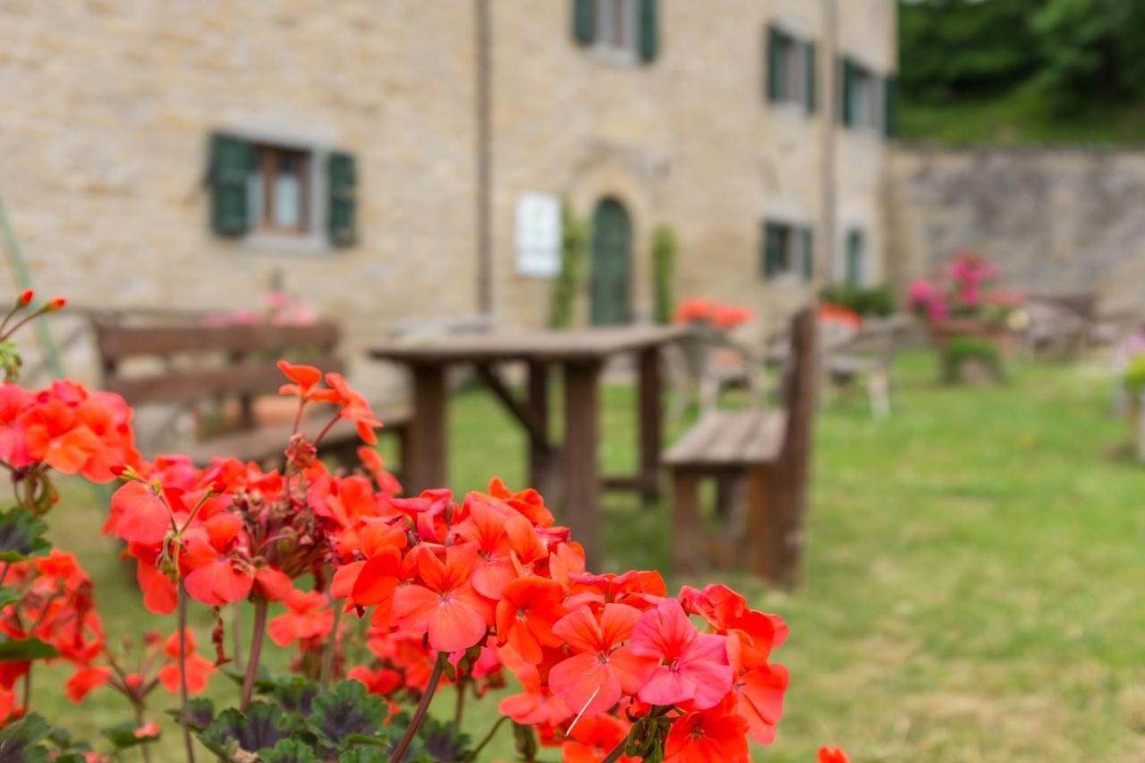 Agriturismo L'Antico Frutto Premilcuore Ngoại thất bức ảnh