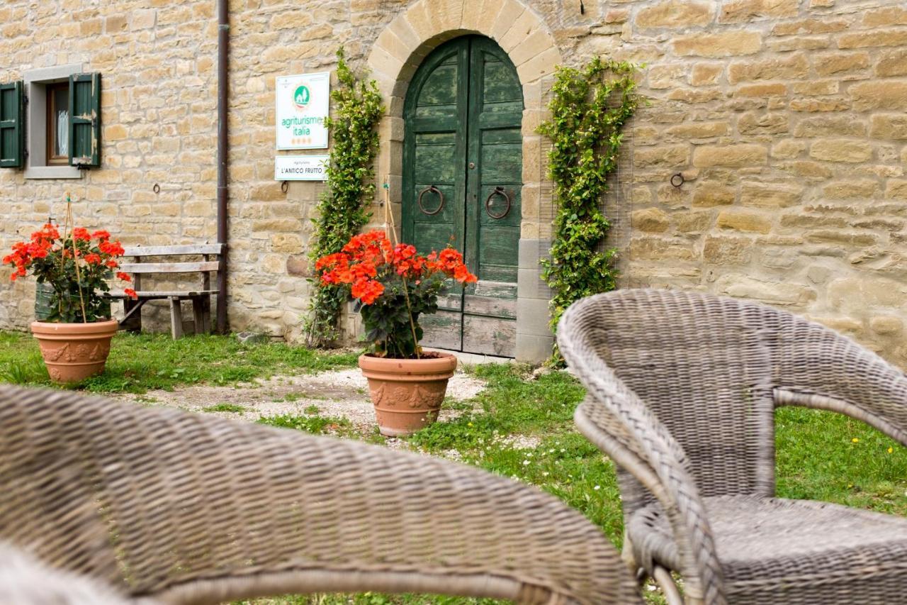 Agriturismo L'Antico Frutto Premilcuore Ngoại thất bức ảnh