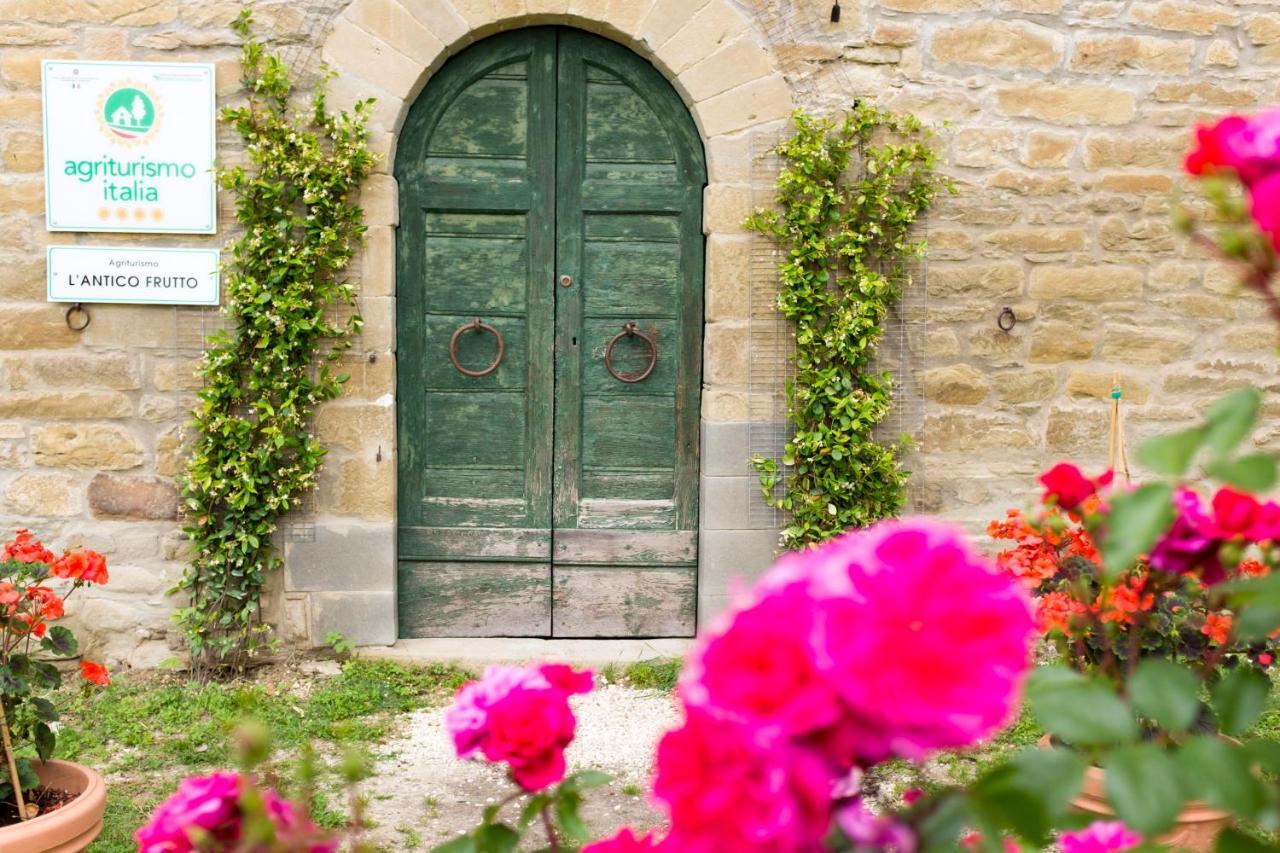 Agriturismo L'Antico Frutto Premilcuore Ngoại thất bức ảnh